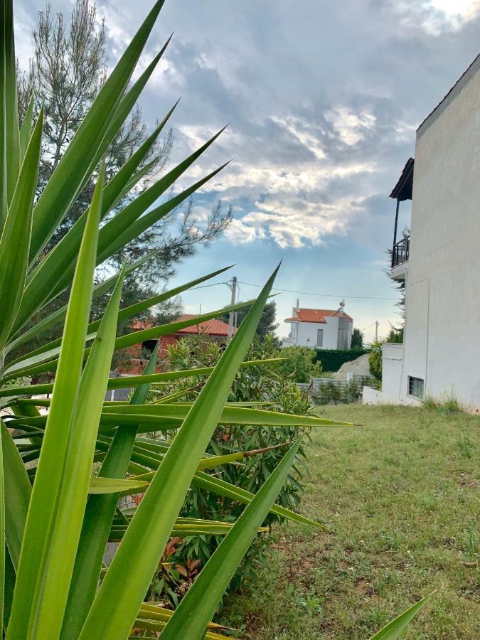 Summer Luxury Villa With Sea View Metamorfosi  Buitenkant foto